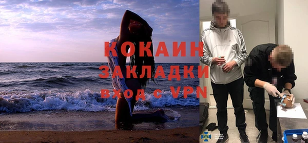 spice Алзамай