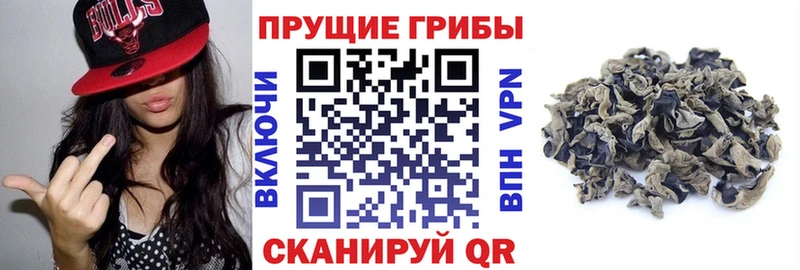 Псилоцибиновые грибы мухоморы  мориарти Telegram  Чухлома  блэк спрут ТОР 